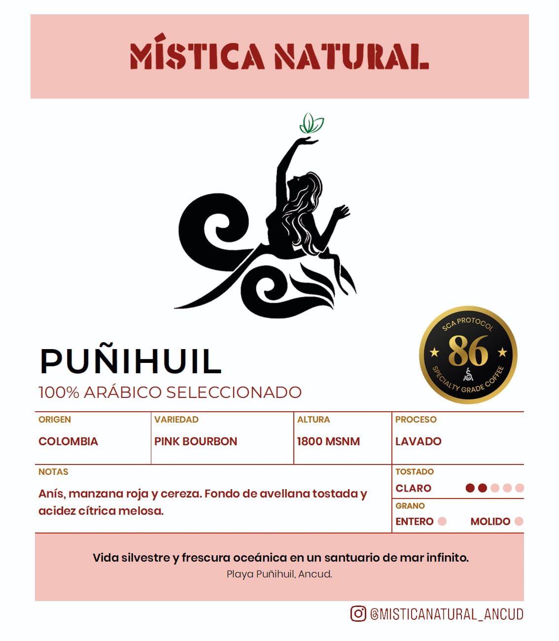 Ficha de café Puñihuil